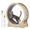 Cat Exercise Wheel, Large Cat Treadmill Wheel for Indoor Cats