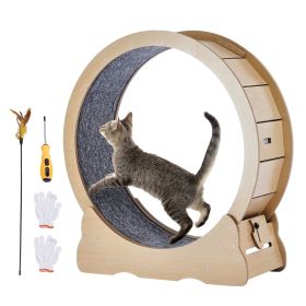 Cat Exercise Wheel, Large Cat Treadmill Wheel for Indoor Cats