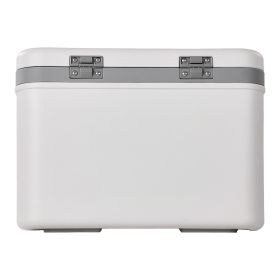 Portable Cooler, 21 QT Hard Cooler with Ice Retention, Heavy-Duty Handles and Strap, Lightweight Rigid Material Insulated Portable Cooler