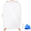 Mini Fridge for Bedroom, 6L Luxury Skin Care Fridges with Mirror and LED Light, AC/DC Cosmetic Fridge for Office Dorm Car
