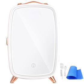 Mini Fridge for Bedroom, 6L Luxury Skin Care Fridges with Mirror and LED Light, AC/DC Cosmetic Fridge for Office Dorm Car