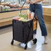 Shopping Cart, Folding Grocery Utility Cart with Dual Baskets, Waterproof Liner & Wheels, 100 LBS Large Load Capacity